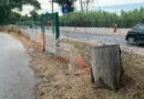 Due recinzioni per una sola Riserva