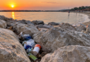Come può uno scoglio…