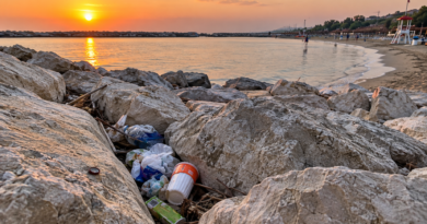 Come può uno scoglio…
