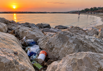 Come può uno scoglio…
